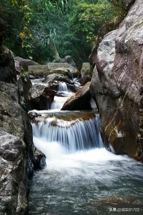小僵尸射飞鸟