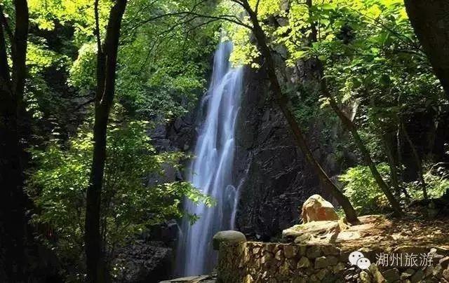 泡泡袖夏装